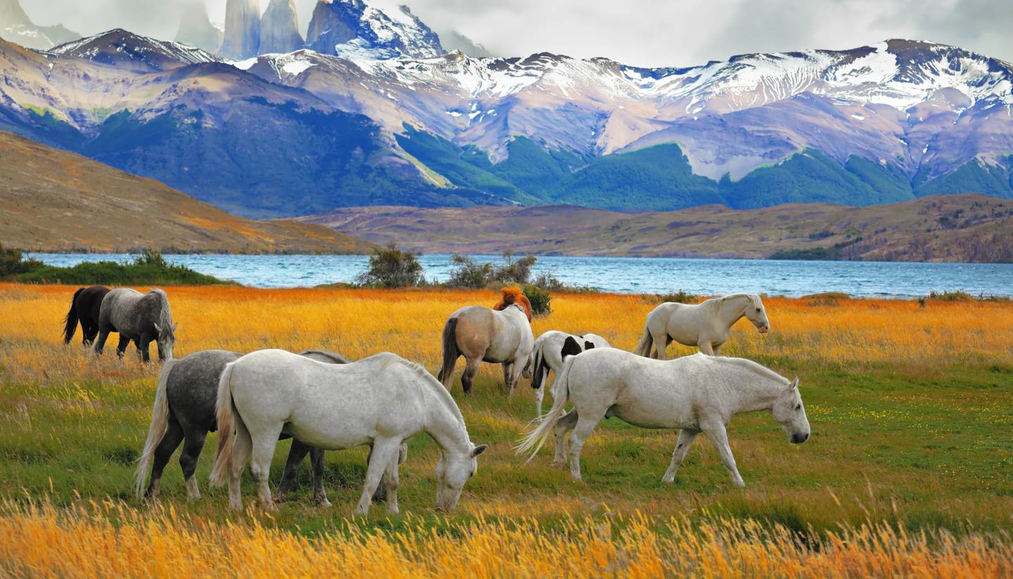 Chile - Torres Del Paine National Park in Chile