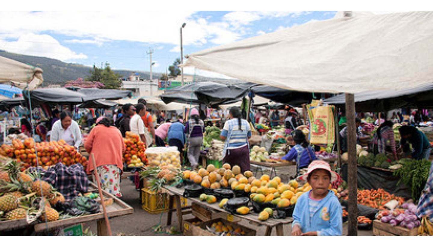 Ecuador - epicurean feast through ecuador