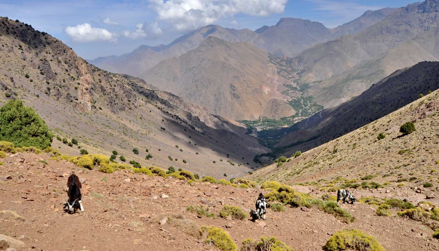 Marruecos - trekking morocco's high atlas mountains