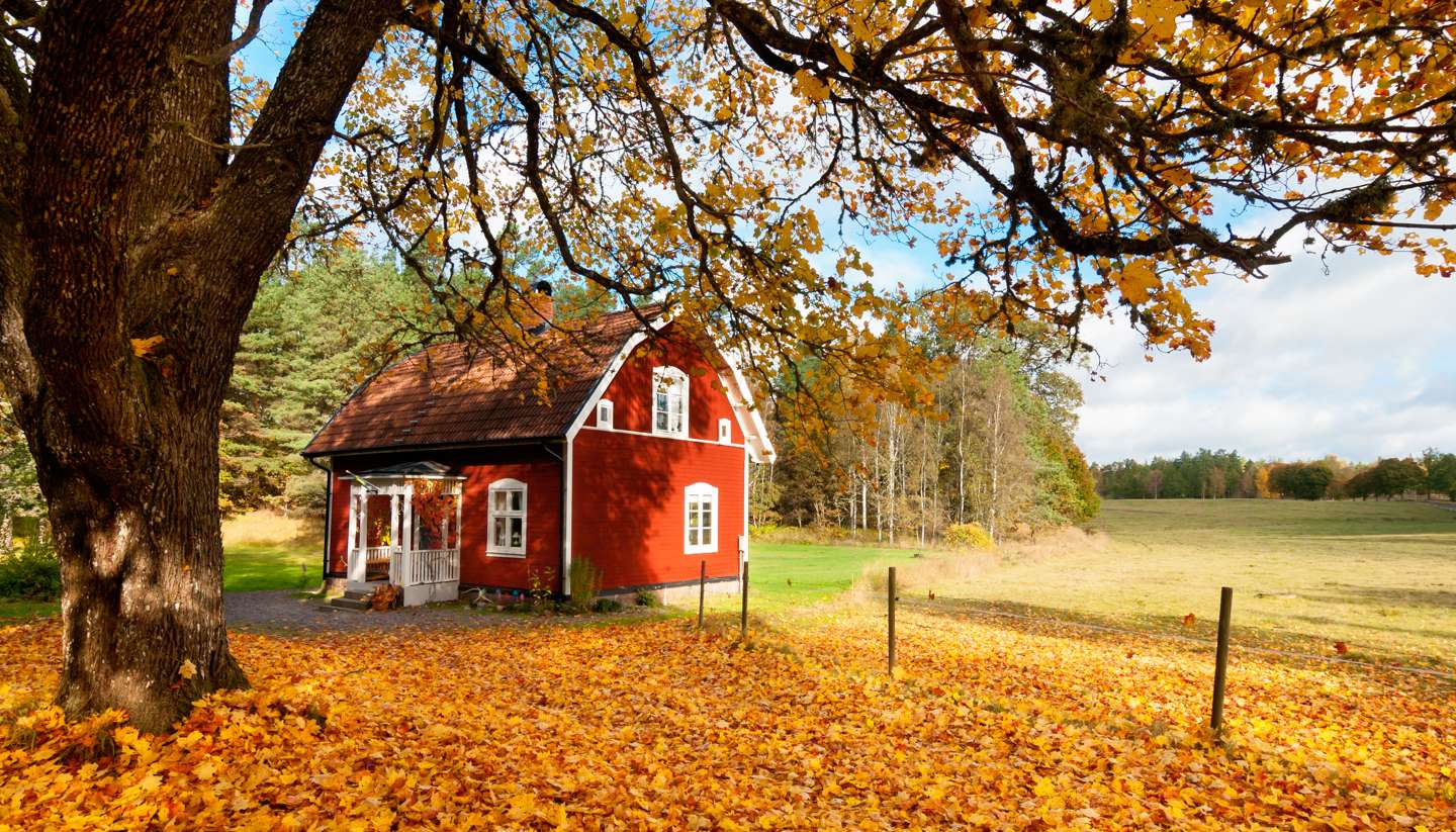 Suecia - Sweden in Autumn