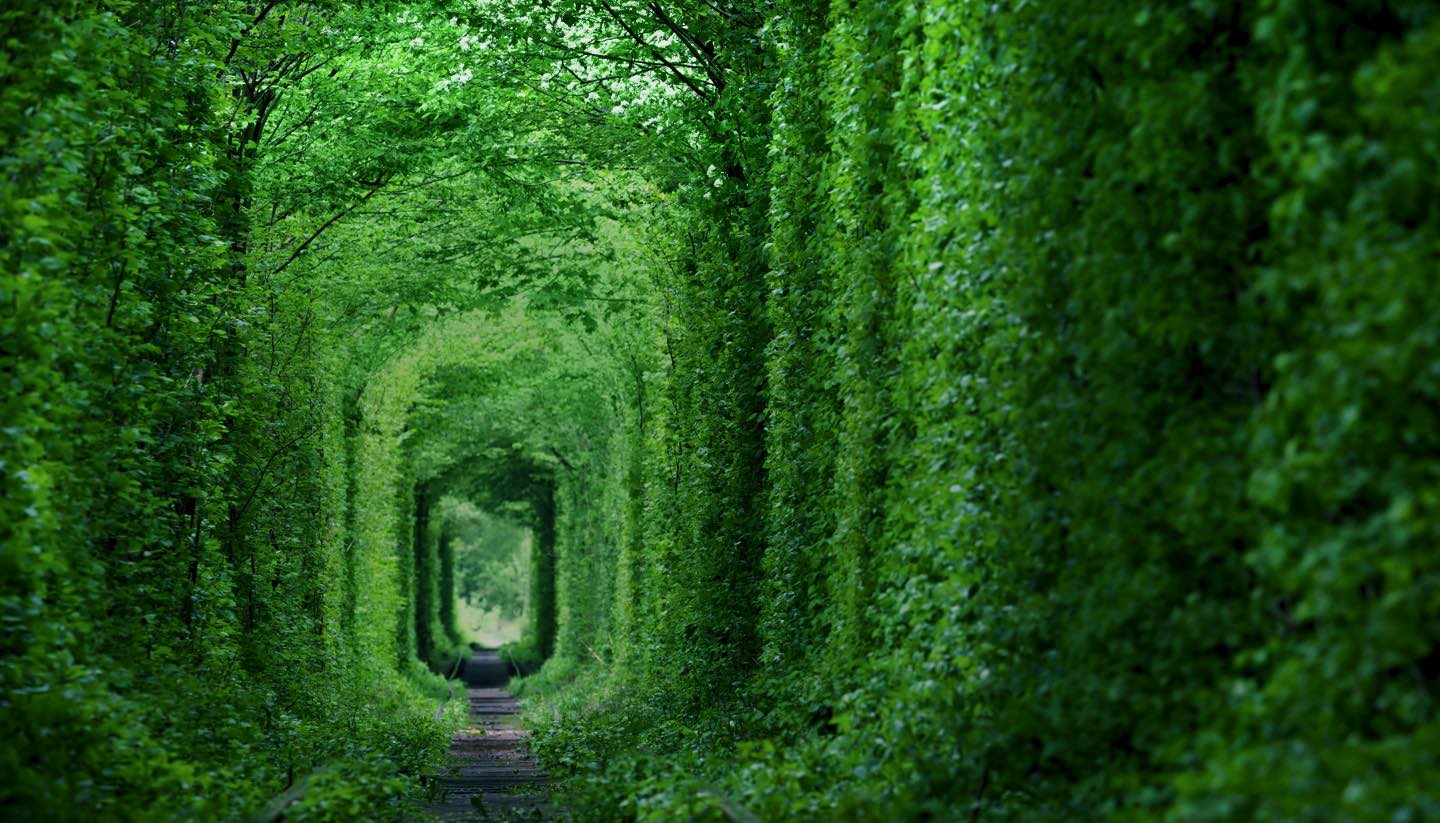 Ucrania - Tunnel of Love, Ukraine