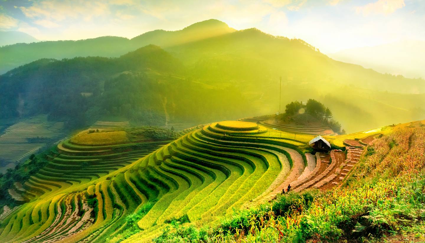 Vietnam - Terraced rice fields in Mu Cang Chai, YenBai, Vietnam.