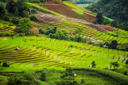 Tailandia - Many digital nomads spend October to March in Chiang Mai, Thailand.