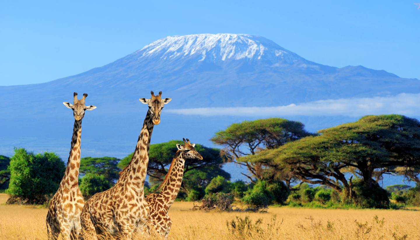 kenya trip of a lifetime