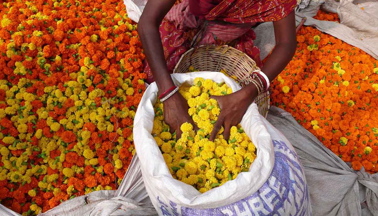 India - Flower market. Kolkata. India