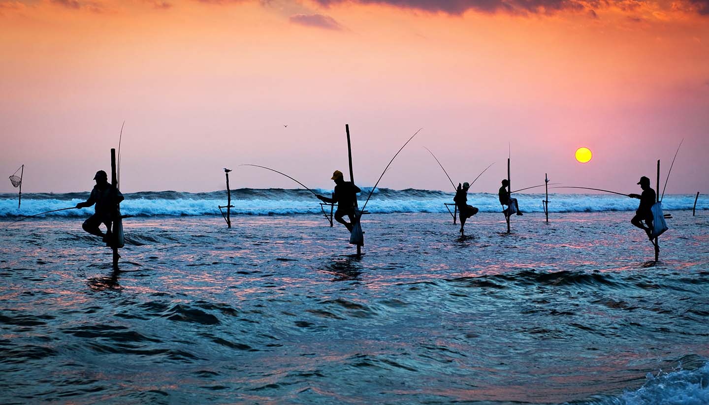 Sri Lanka - Traditional Stilt Fishermen, Sri Lanka