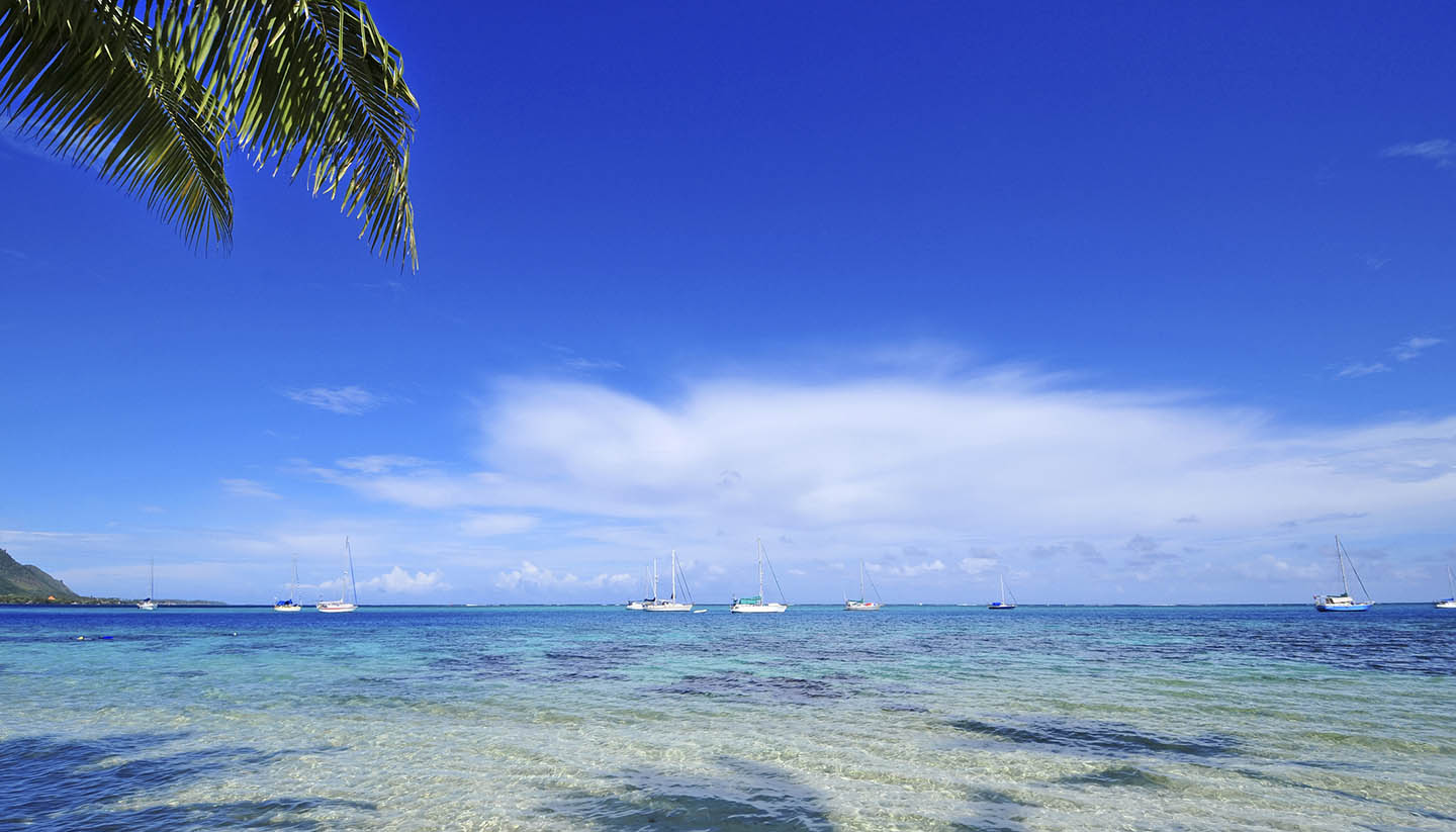 Tahití y la Polinesia Francesa - Island Beach, Tahiti