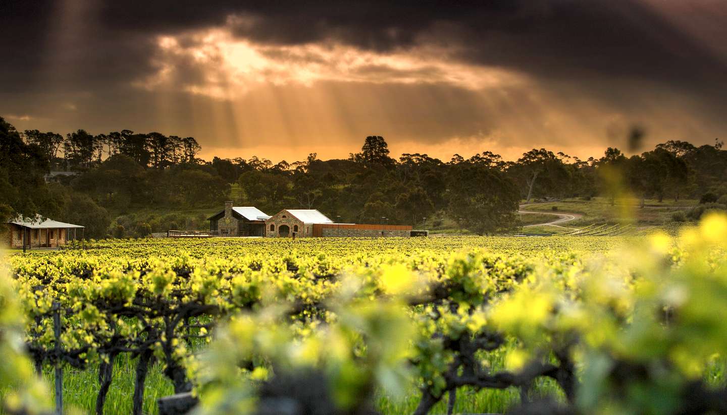 Australia - Oth-BehindCellarDoor-UltimateWineriesAustralia-StHugo-1440x823