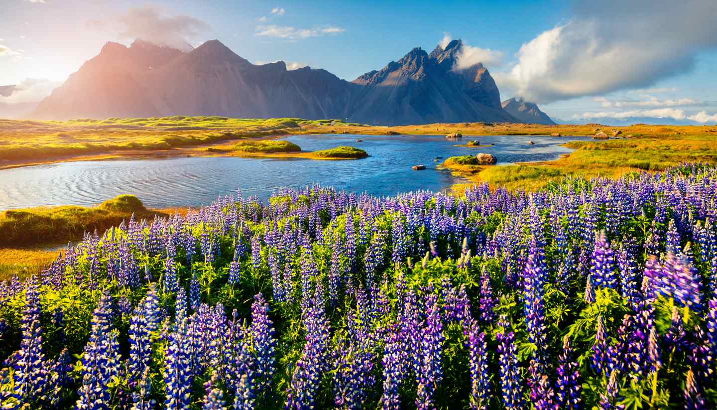 Islandia - Stokksnes, Iceland